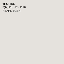 #E5E1DC - Pearl Bush Color Image